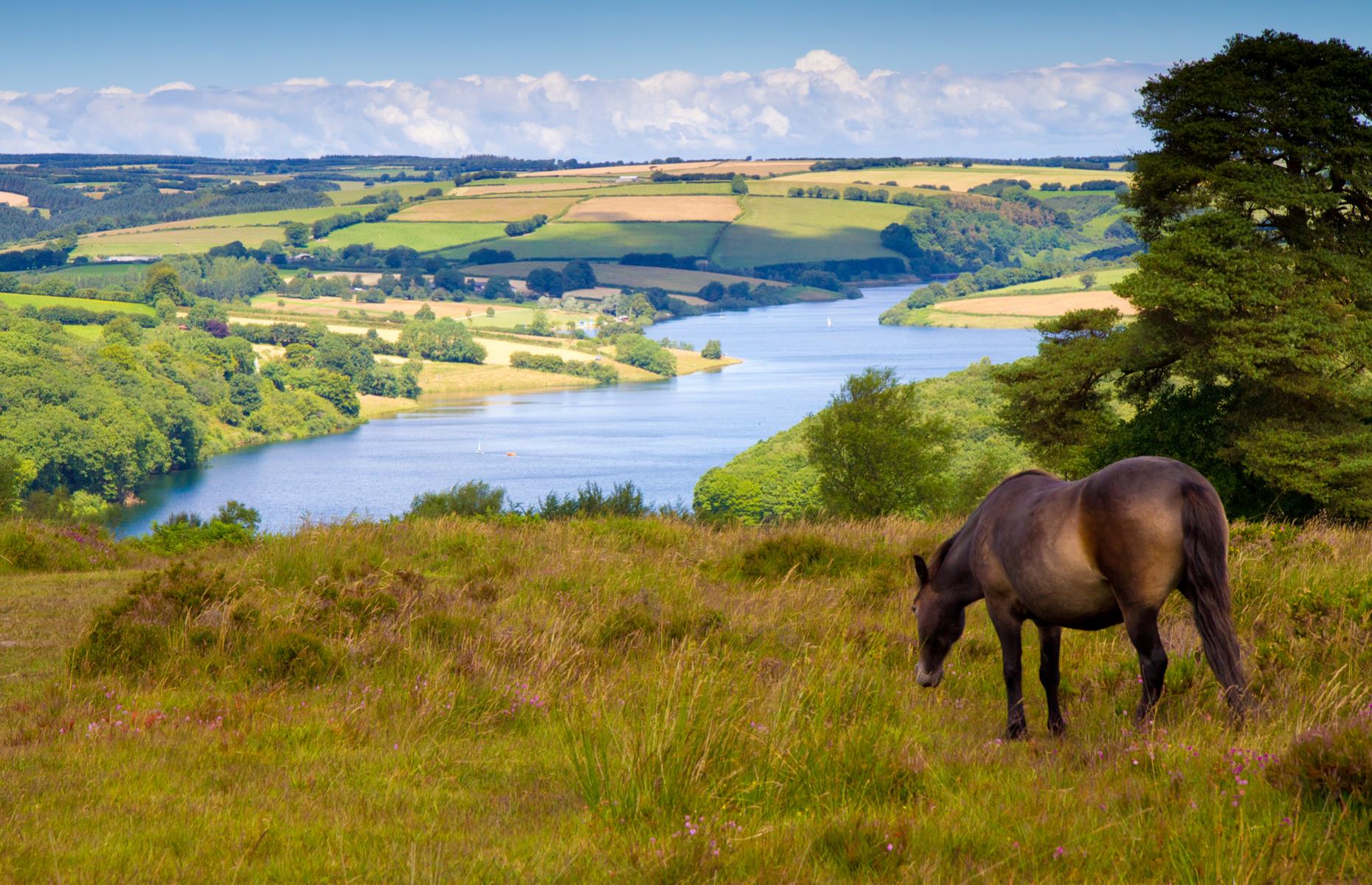 Exmoor, Somerset/Devon